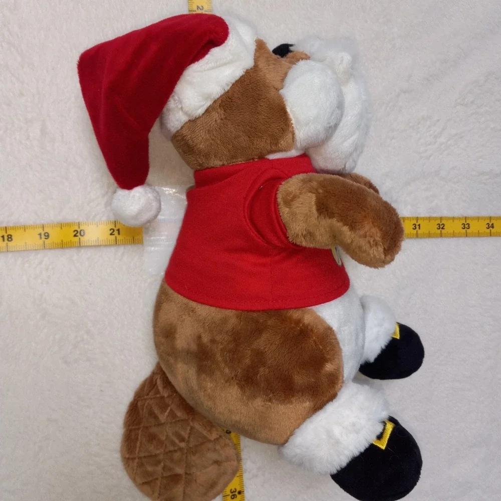 BUC-EES buc ees